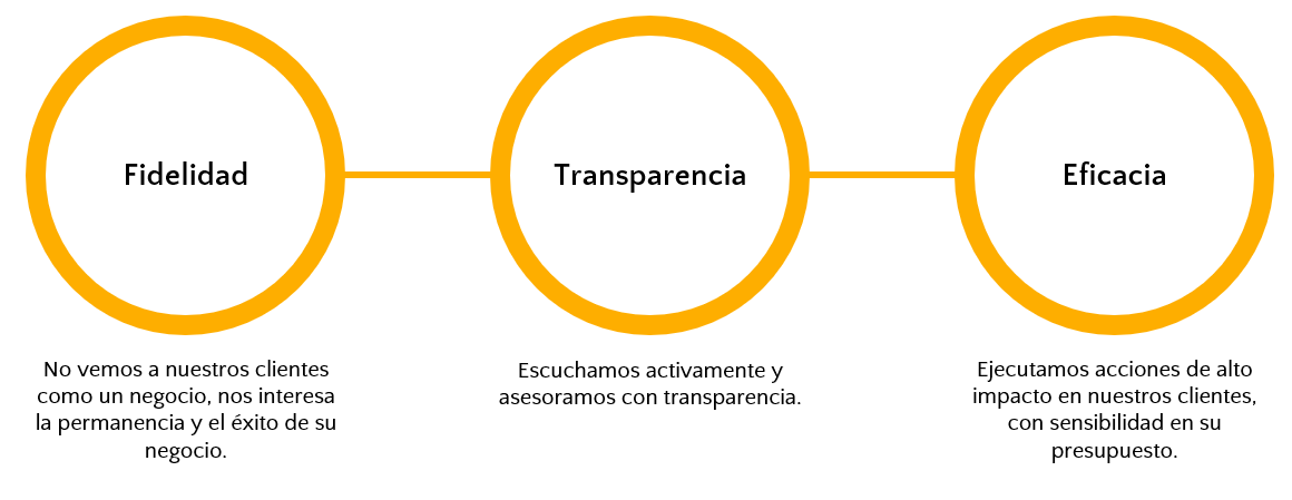 Valores Ciberprotección: fidelidad, transparencia, eficacia.